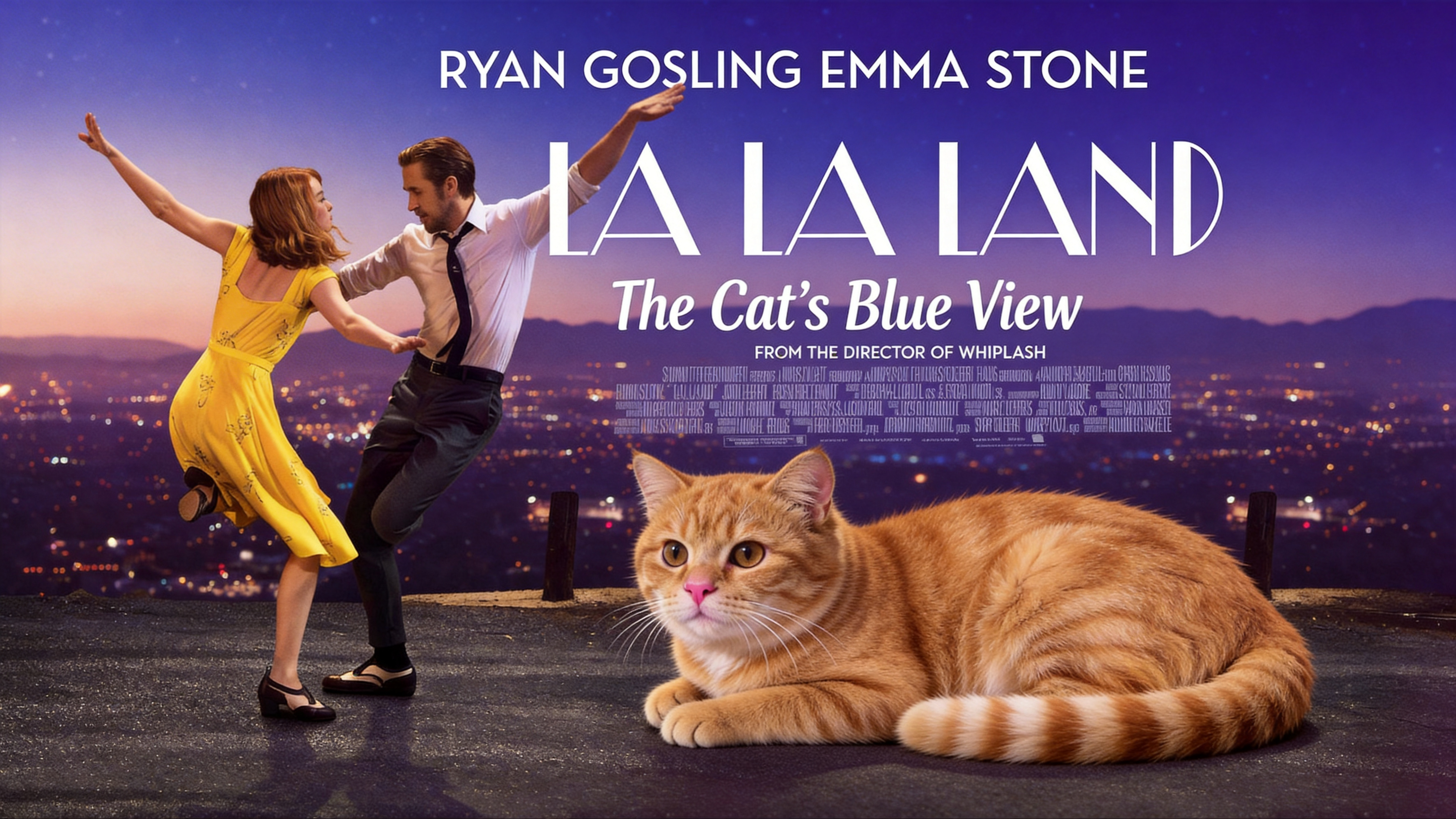 《猫眼视角的遗憾》 The Cat's Blue View · key frame